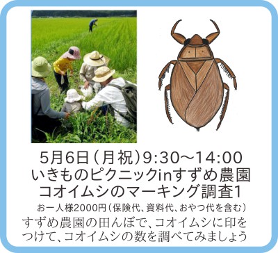 いきものピクニック