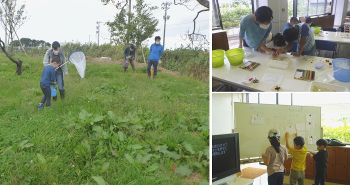 採集の様子
