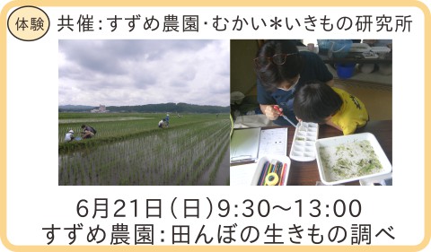 調査の様子