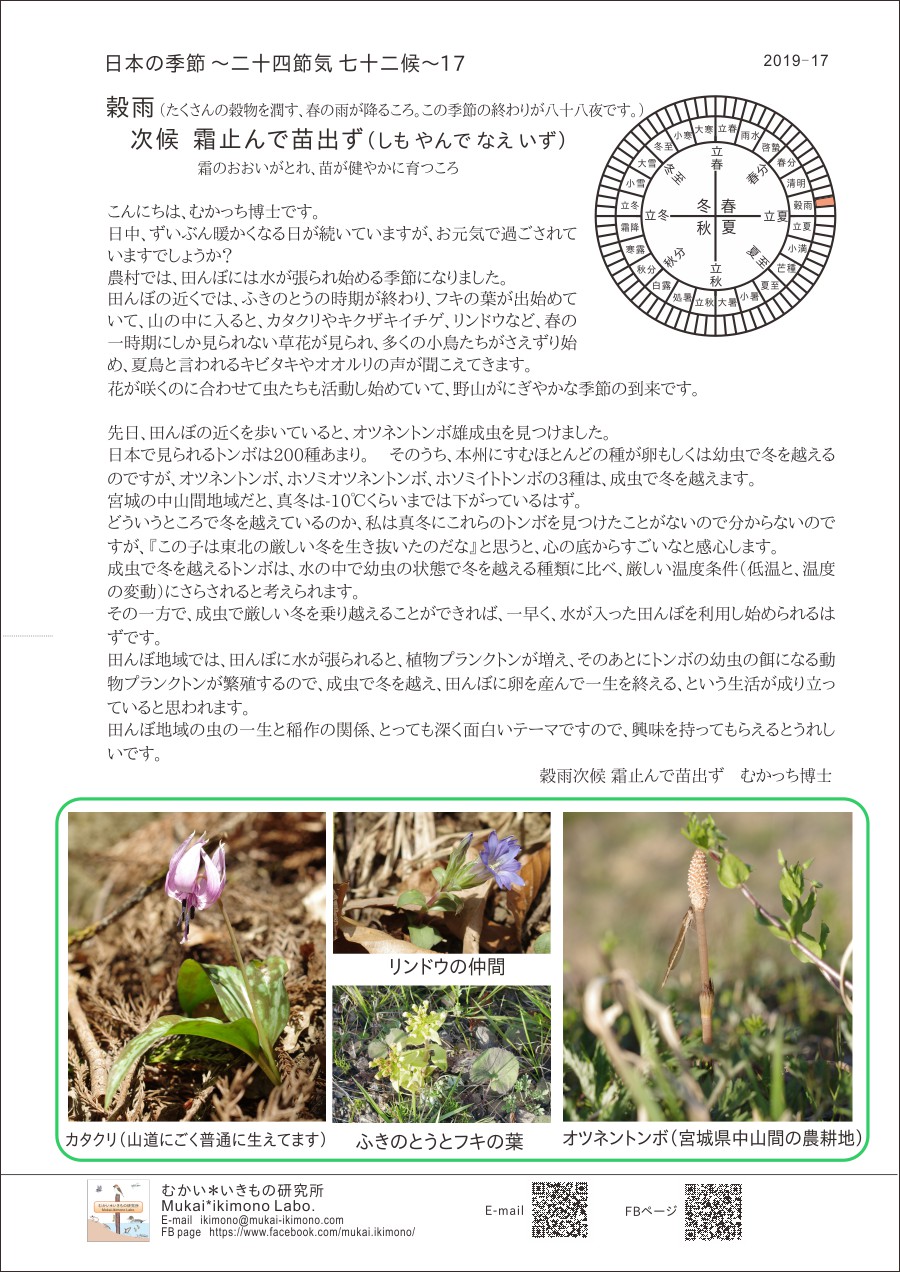 季節のメルマガ