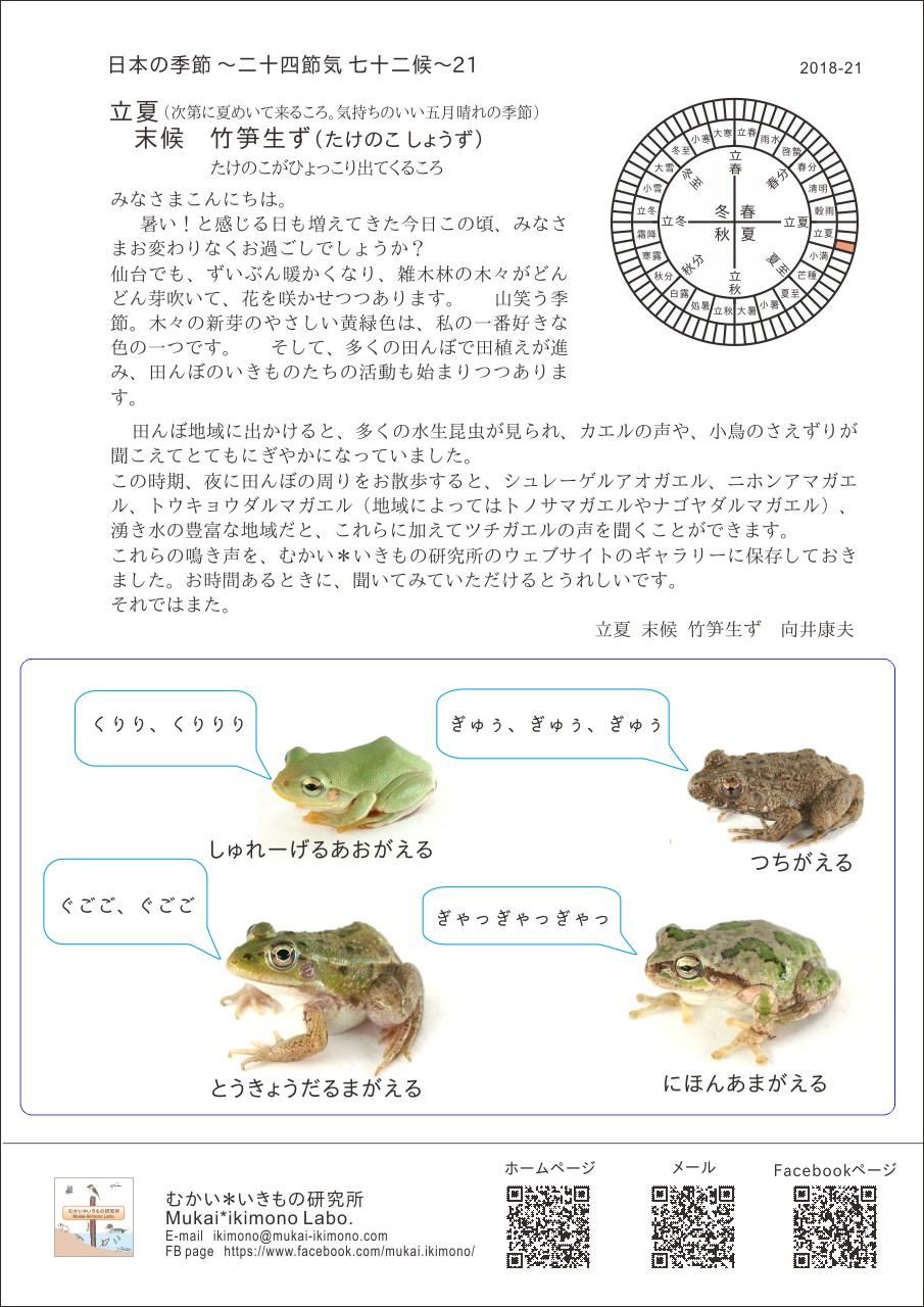 季節のメルマガ